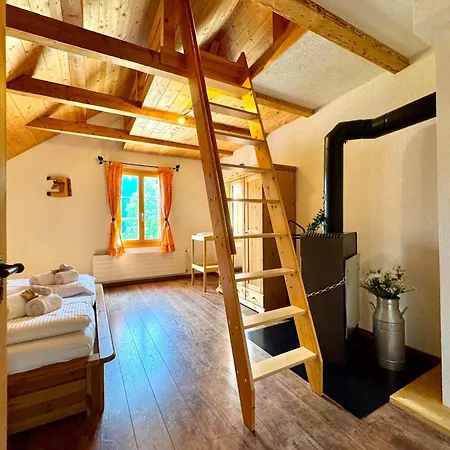 Im Baetzenboden Horská chata *